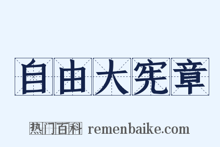 自由大宪章是什么意思的图片